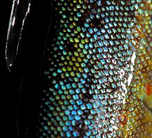 Have you ever seen Brown trout ? Abstract. Brown Sugar Story . Norway 2010. Views (402) Thx! Tight lines ! Fishlike and new avatar this group . september 2010. by © Andrzej Goszcz,M.D. Ph.D