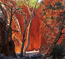 Standley Chasm by mspfoto