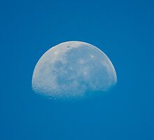 The Moon Today 8/30/2010 at 9:13 am by imagetj