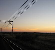wired by marella