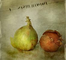 Onions by Þórdis B.