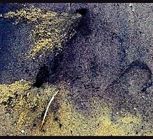 colorful crab holes by Sameer R.K.