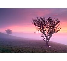 Misty sunrise, The Helm - Cumbria Photographic Print