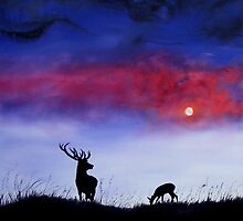 Stag In Moonlight by Linda Woodward