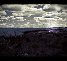 path less travelled by vampvamp