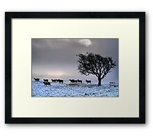 In search of food... Framed Print