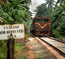 Train to Columbo by crowdedstudios