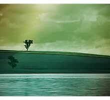 PH/VV by vampvamp