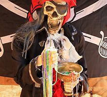 An Old Pirate by Renee D. Miranda