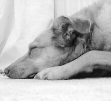 Beautiful Dreamer by Ladymoose