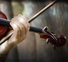 Songs from the Woods by Judi Taylor
