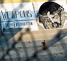 Begger of Mass Destruction by Regan Johnson