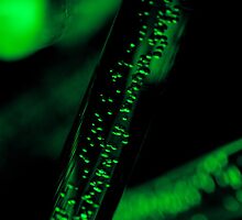 Test Tube by splendidlens