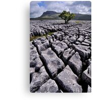 Ingleborough from White Scars Canvas Print