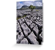 Ingleborough from White Scars Greeting Card