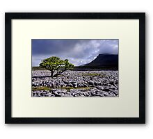 Ingleborough from White Scars Framed Print
