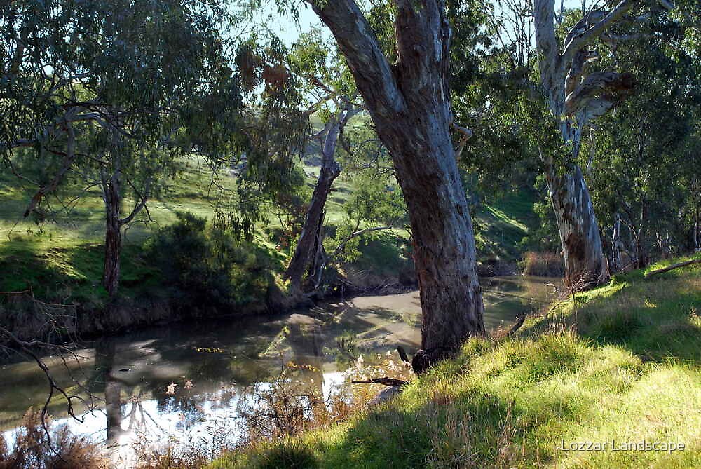 "Trees along the Riverbank" by Lozzar Landscape Redbubble