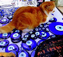 Cat Snapped! (on a market stall in Istanbul!) by Rusty Gladdish