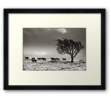 In search of food... Framed Print