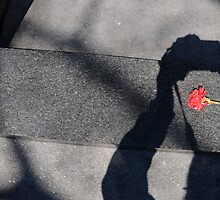 Shadows Over a Tombstone by montserrat