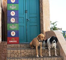 Hair Of The Dogs by James Barker