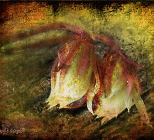 Breath of Life (Art & Poetry) by Rhonda Strickland
