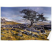 Limestone Country - The Yorkshire Dales Poster