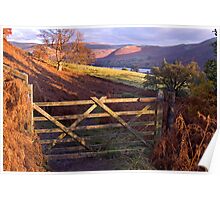Near Ullswater - The Lake District Poster