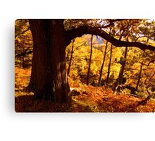 Autumn colours near Ullswater - The Lake District Canvas Print
