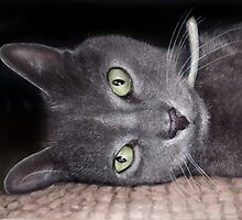 Casper by Martin Lynch-Smith