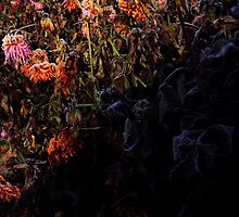 Minor of a passé beauty or... is it over? by arvyart