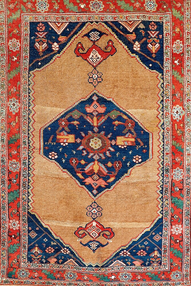 Bijar Kurdish Northwest Persian Rug Print By Vicky Brago Mitchell