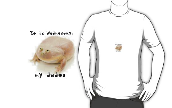 it is wednesday my dudes shirt