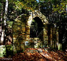 History deep within the Woods... by Marcia Rubin