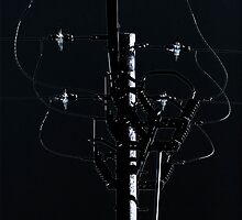 Wired by Country Pursuits