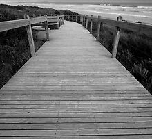 Sandy Point & Surrounds - B & W - Will Hore-Lacy by Will Hore-Lacy