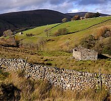 Uldale - Cumbria by Dave Lawrance