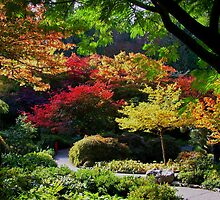BUTCHART Gardens in FALL by AnnDixon