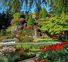 BUTCHART Gardens in Spring, by AnnDixon