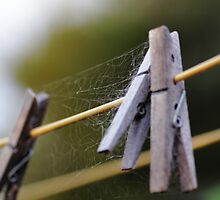 Old Clippers by Beh Meng Khiang