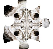 Plunder's Puzzle - Hugh's piece by Hugh Fathers