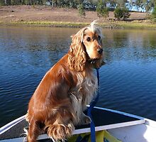 My Tinny My Seat by aussiebushstick