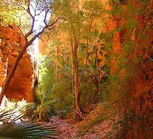 Echidna Chasm, WA. by Liz Worth