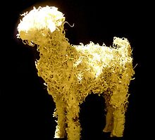 Sheepish by Cameron Hampton