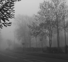 Foggy suburbia by Themis