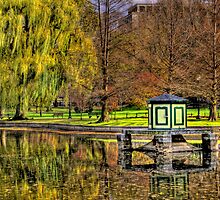 Wind and stillness by LudaNayvelt