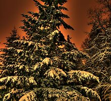 Eye of the snowstorm by skreklow