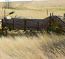 spreader by axieflics