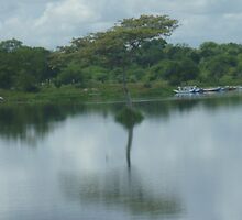 Lake by podiwije