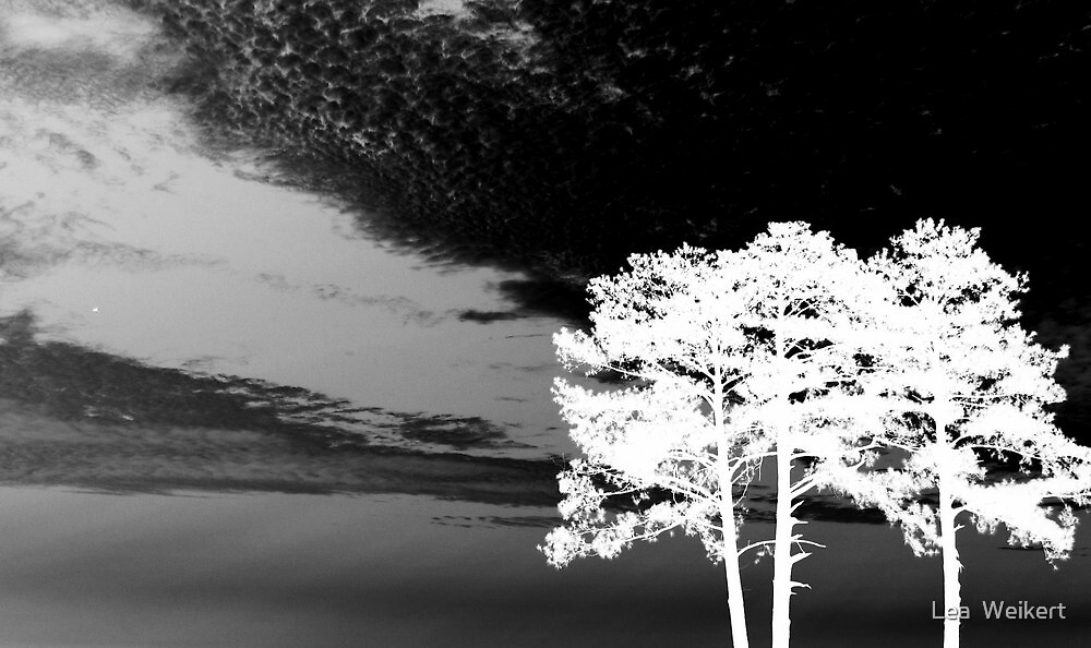 negative-nature-by-lea-weikert-redbubble